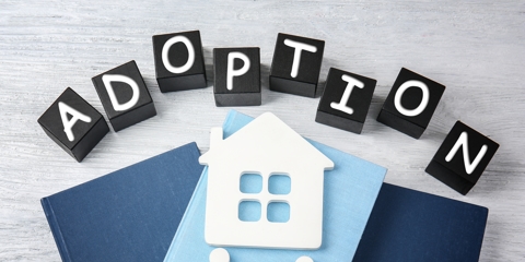 Understanding the Different Types of Adoption Photo